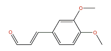 Coniferyl methyl ether
